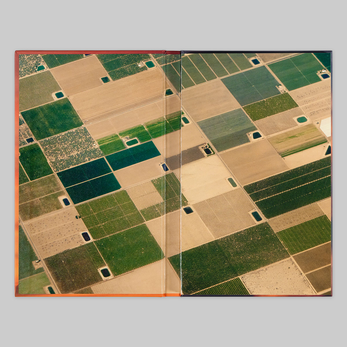 Up Here I Am Weightless - Book + Print 9 - Image 4
