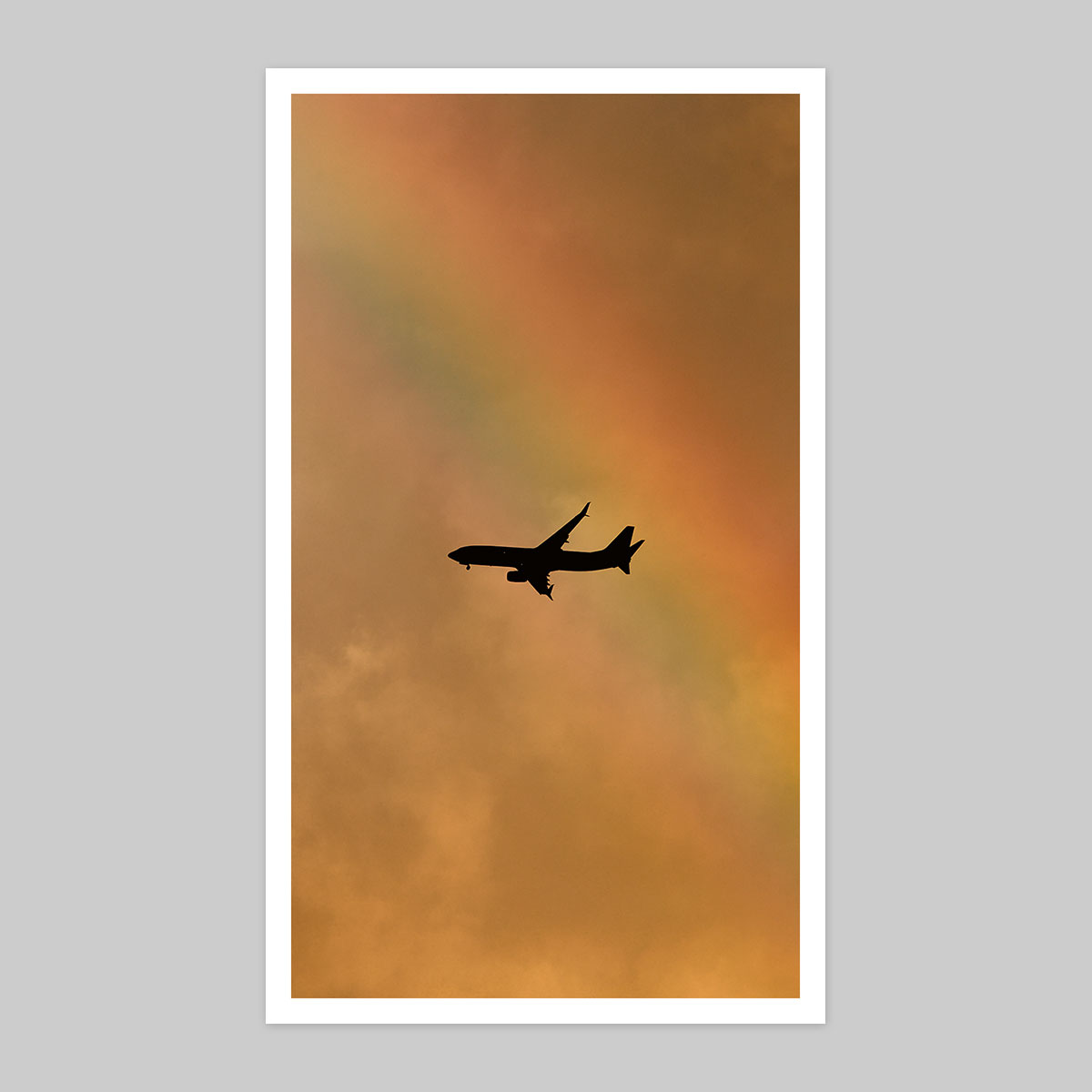 Up Here I Am Weightless - Book + Print 5