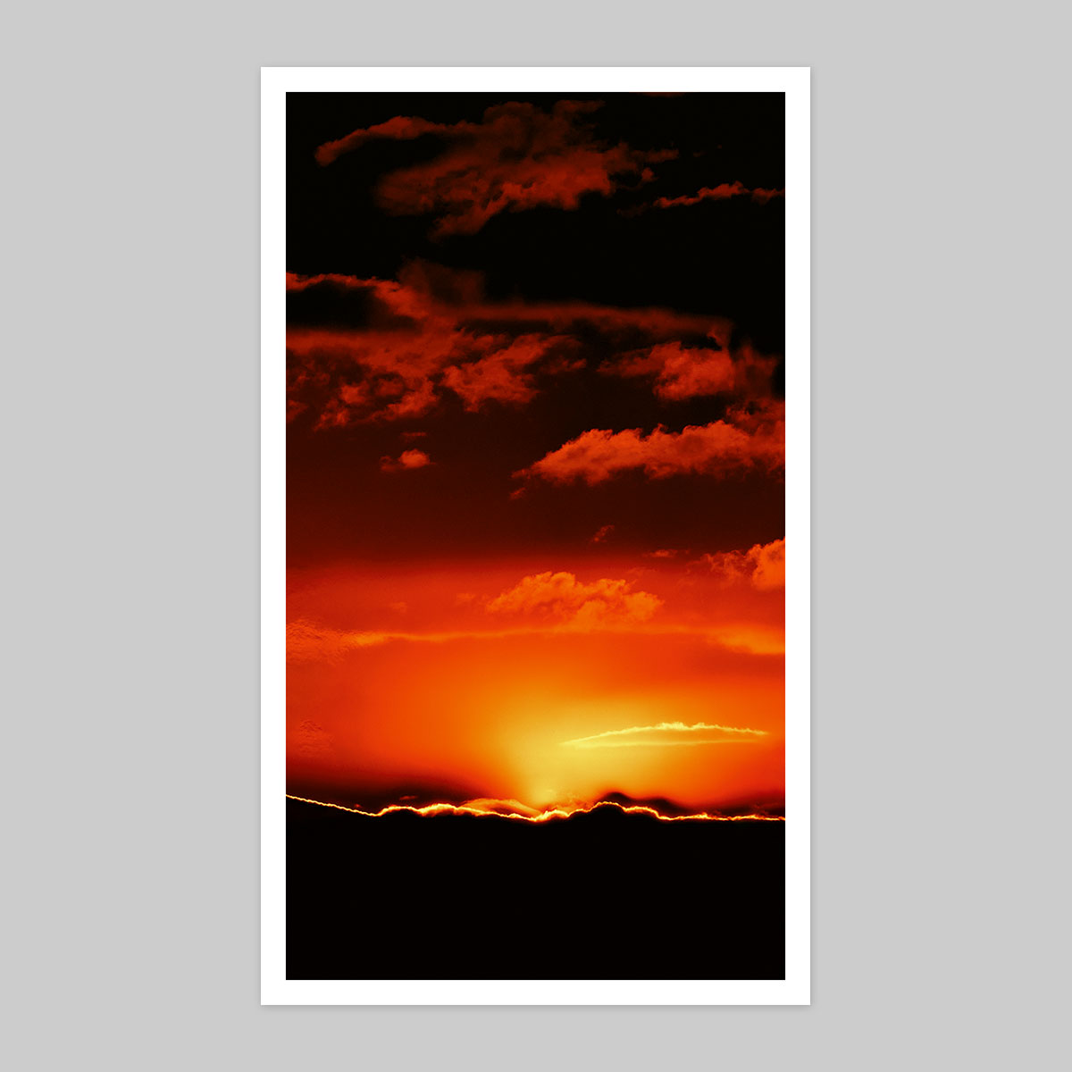Up Here I Am Weightless - Book + Print 7