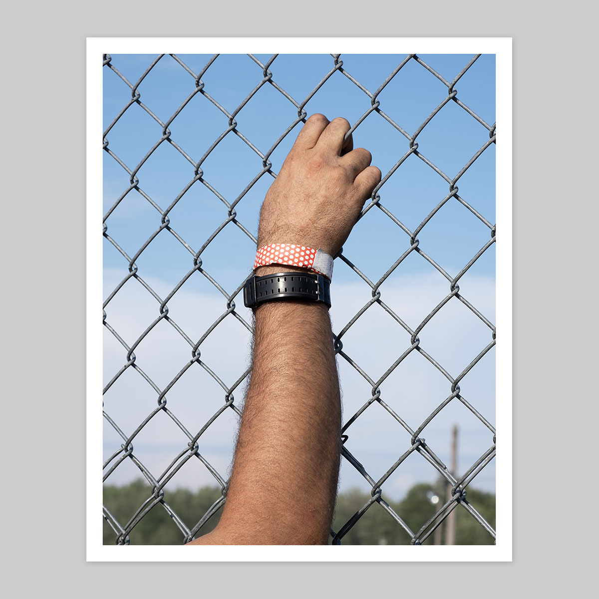 Three Rings - Book + Print 5