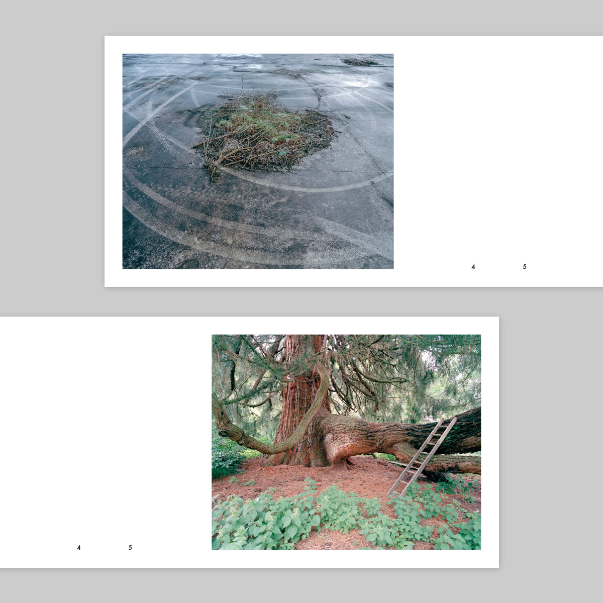 Issue 49 – Tom McGahan - Image 4
