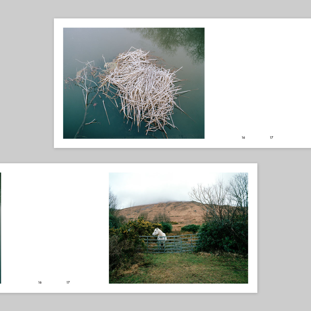 Issue 49 – Tom McGahan - Image 10
