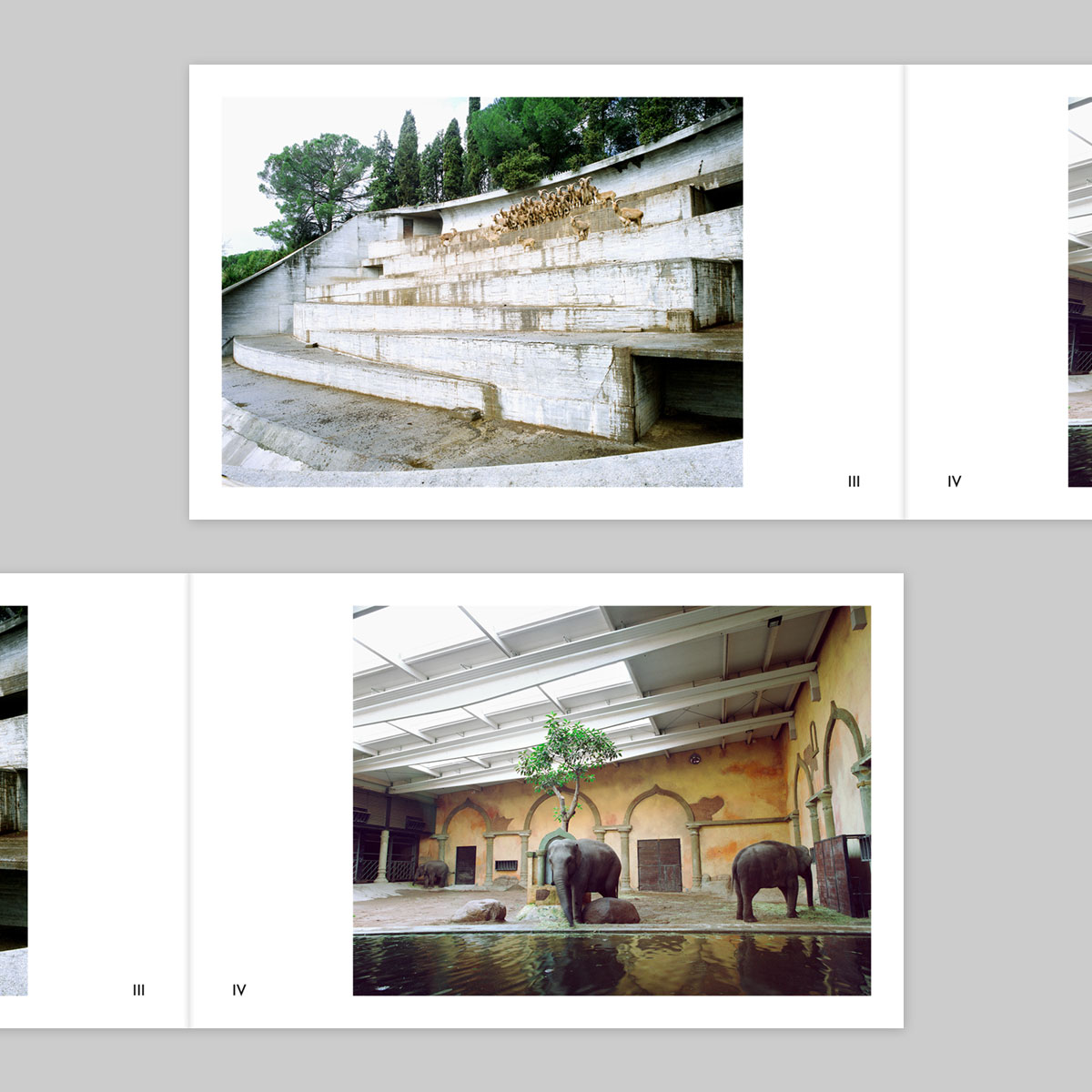 Volume 143 – Ignacio Evangelista - Image 3