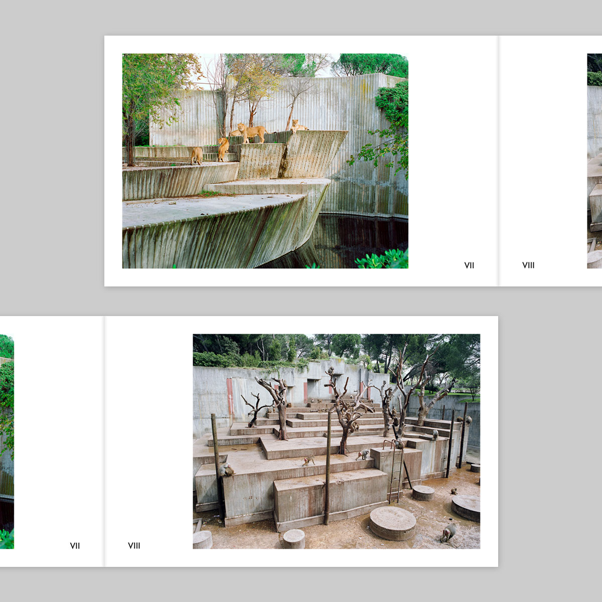 Volume 143 – Ignacio Evangelista - Image 5