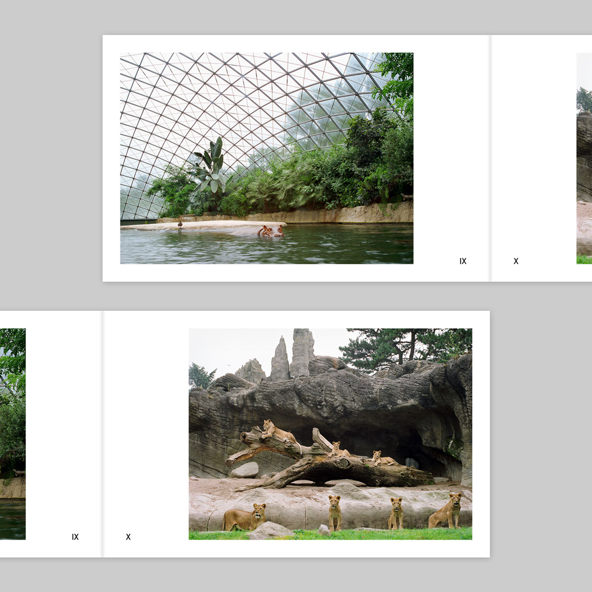Volume 143 – Ignacio Evangelista - Image 6